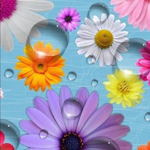 Meet your Posher, Tammy